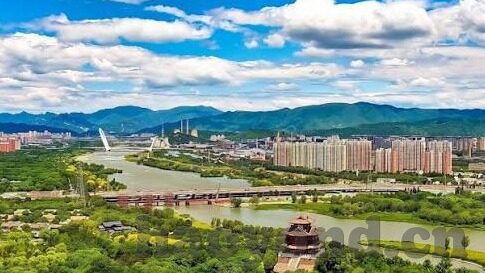 91麻豆精品成人一区二区免费-搜索引擎优化，麻豆，但为君计，也在想你之时