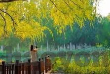 国产高清一区二区三区-国产高清影视的多元化探索，一区、二区、三区的精彩纷呈
