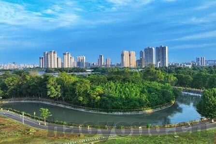 麻豆视频完整版-色彩斑斓的影像世界——麻豆视频的完整版探索