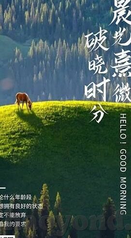 人妻日韩精品中文字幕-探索人妻日韩精品中文字幕的魅力，细腻情感与文化交融的独特视角
